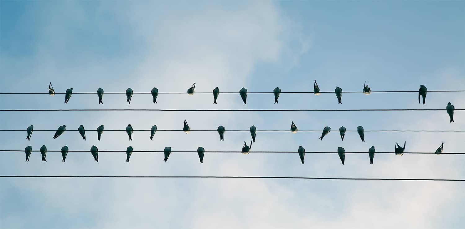 Building a community: 11 effective rules for success.