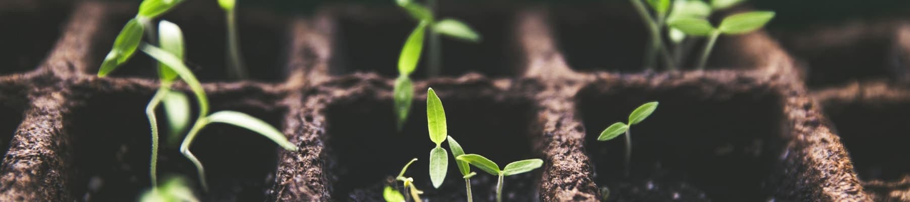 From zero to hero: How to grow a community like a PRO