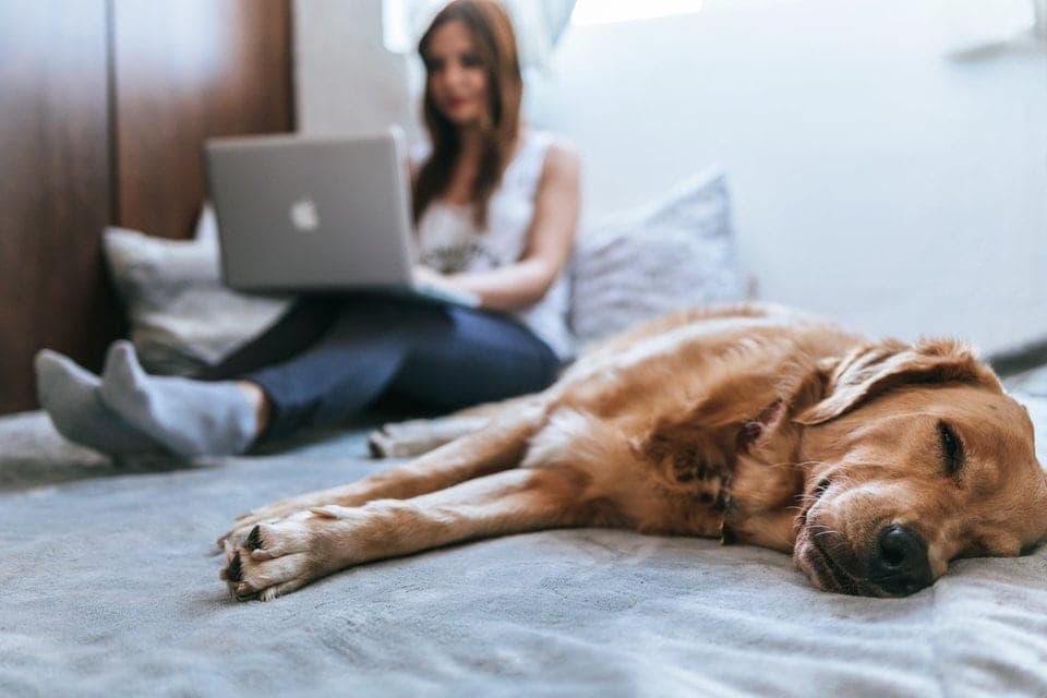 How to create niche forums your members will love