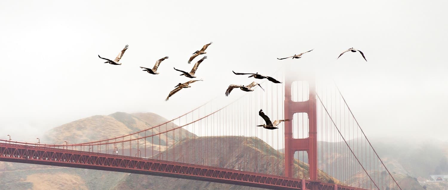 How to migrate your community: 6 simple steps.