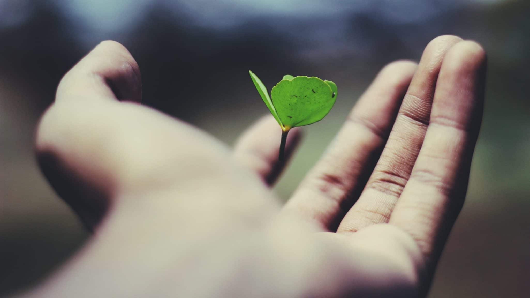 Understanding your Community Growth Pattern